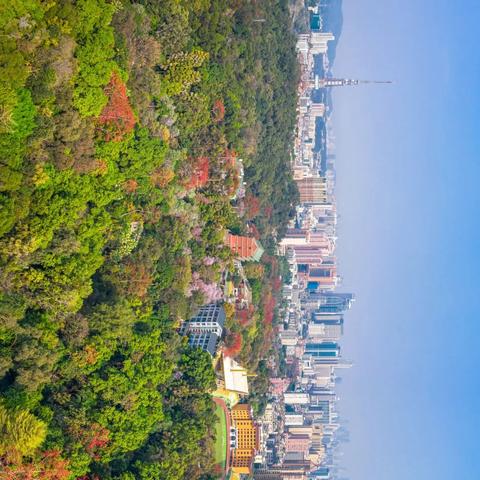 广州市越秀区海拔多少米