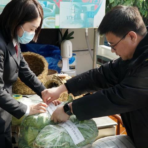 沈阳市平罗镇在哪个区