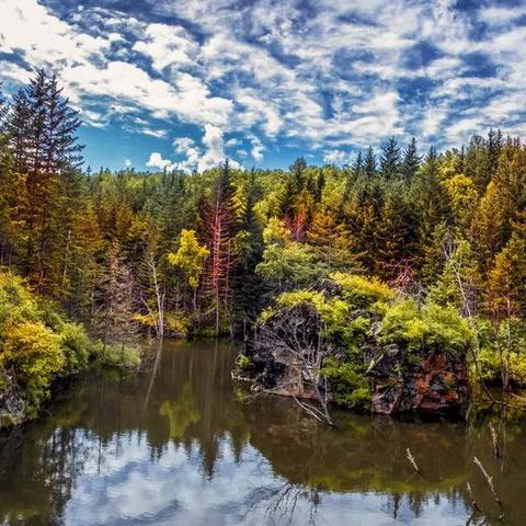 哈尔滨郁金香种子相关长尾关键词有哪些