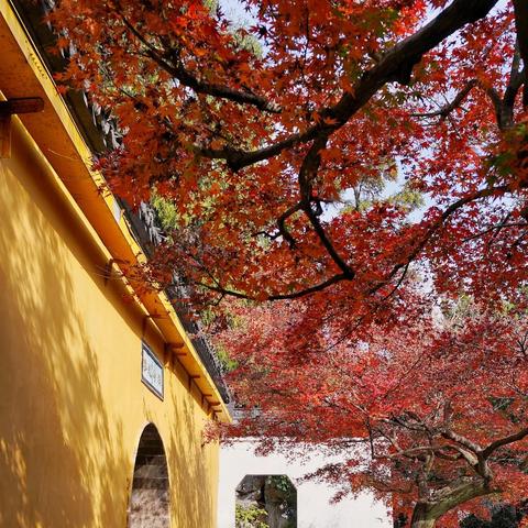 苏州市常熟市的红枫小学的长尾关键词有什么