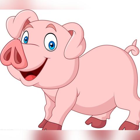 生肖龙今年的预测运势(十二生肖龙今年运势)