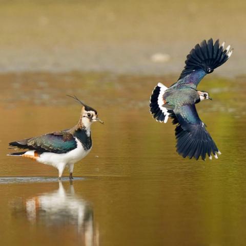 南宁市哪个酒店有沐浴