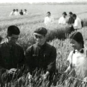 【天津结婚嫁妆】相关长尾关键词有哪些