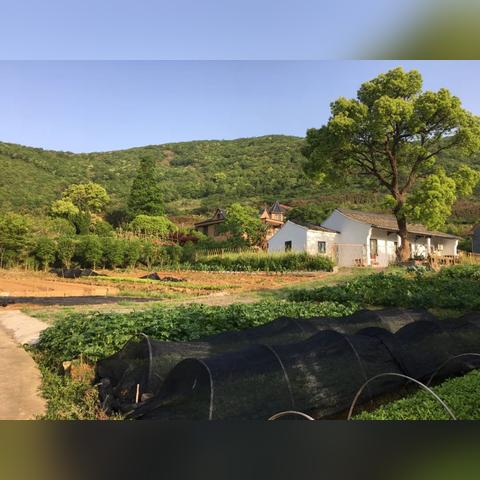 宁波市白峰属于哪个区