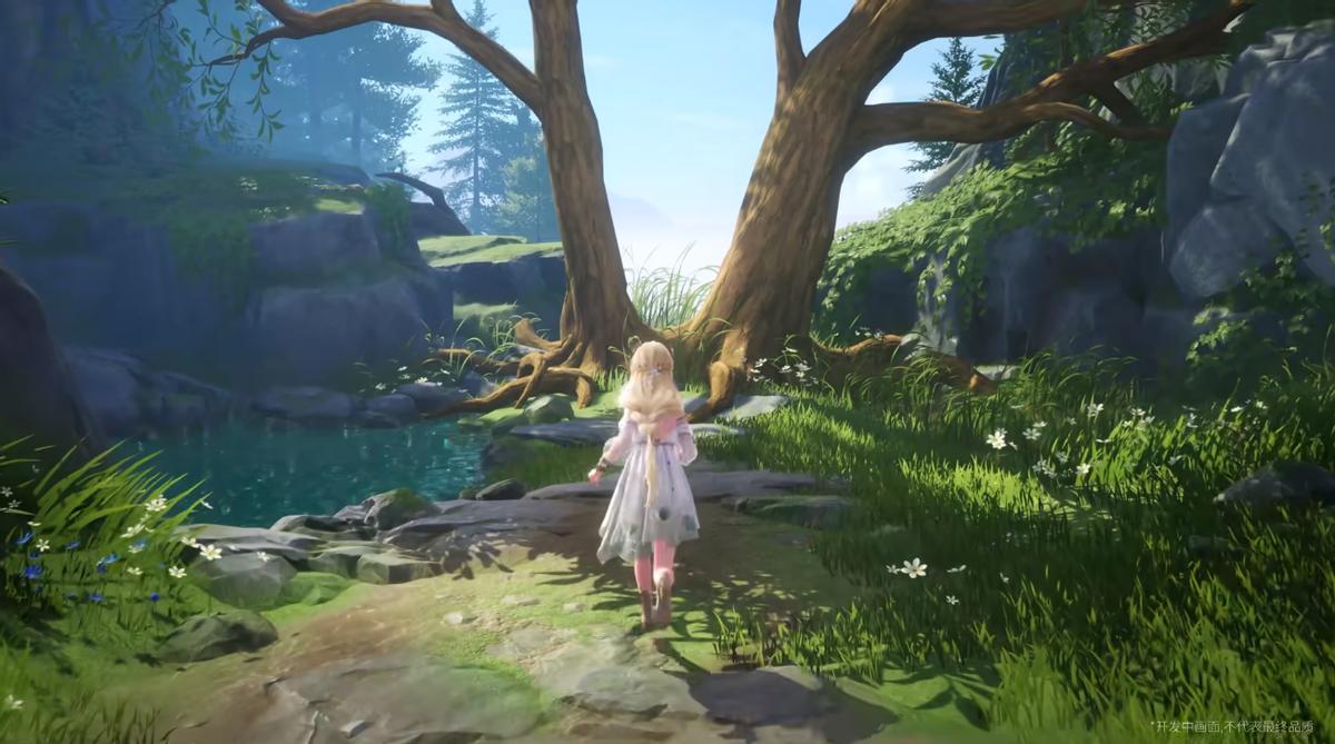 原神太郎丸的钱怎么获得（原神太郎丸怎么捕捉）