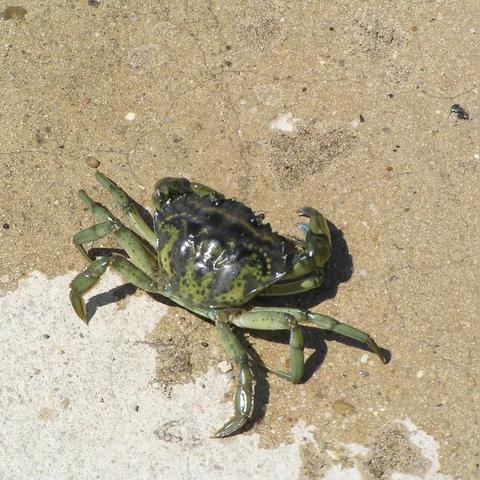 苏州市绿点科技怎么样