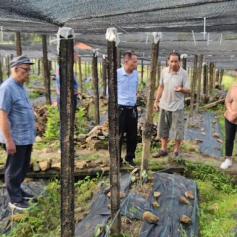 绿春县属于什么气候