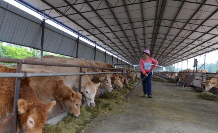 【聊城最新疫情情况
 ,聊城最新疫情情况通报】