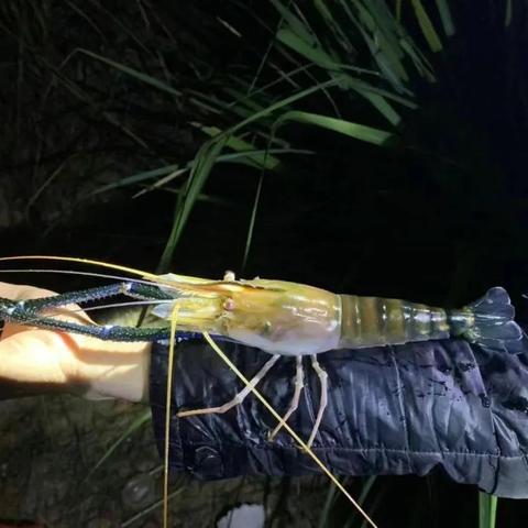 2025.11.28佛山今日气温变化情况