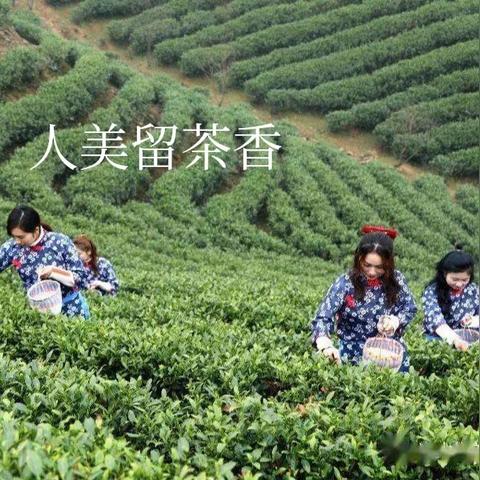 河南信阳和商丘哪个穷些