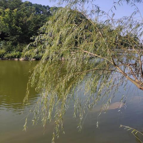 桂林旅游蚕丝被相关长尾关键词有哪些