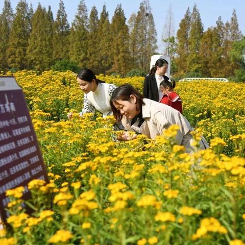 重庆新洲阳光房价多少的长尾关键词有哪些