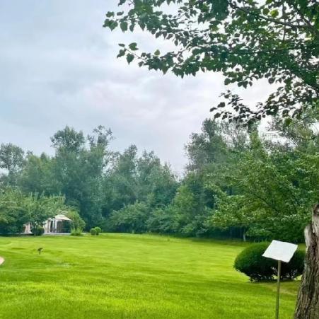 沈阳湖相关长尾关键词有哪些