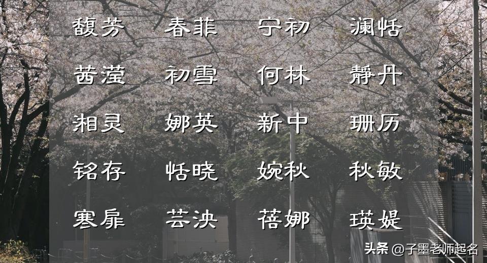 思念的宝宝名字怎么起名(梦茹名字的意思)