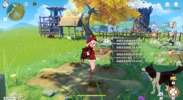 原神怎么提高阿圆信任等级(怎么获得原神礼物)