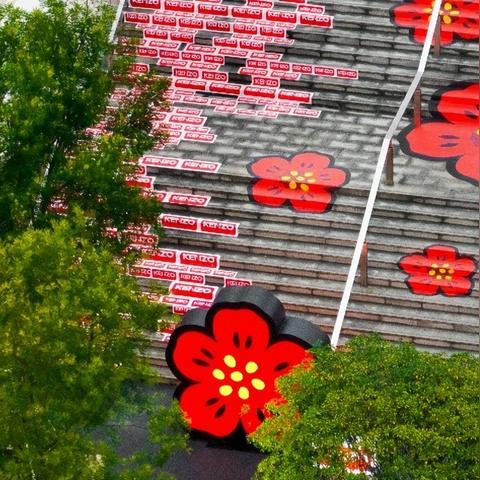 哈尔滨双城花店相关长尾关键词有哪些