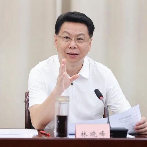 温州市林晓峰瑞安哪里人