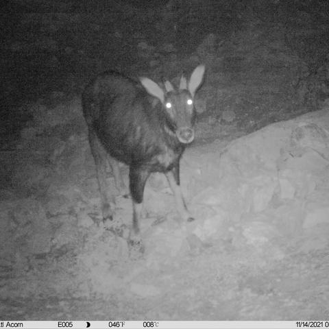 兔年生肖属猴运势如何样(属猴人兔年运程每月运程每月)