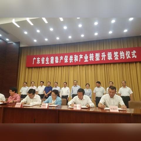 赣州市黑马城市的长尾关键词有什么