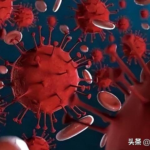 河南哪个地方有千金藤