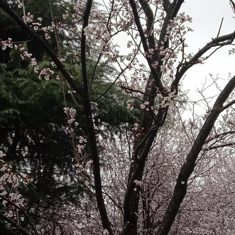 合肥市蜀山区是什么地区