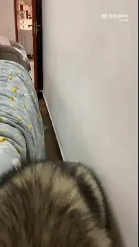 如何在power整合chatgpt文档 抖音power什么梗