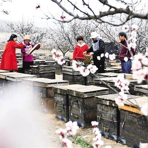 兰州到绵阳的机票的相关长尾关键词有哪些