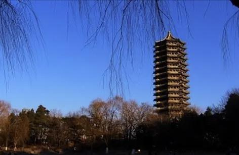 勵志短視頻教程寧吃百日苦學(xué)習(xí)勵志視頻文案 運(yùn)營百科