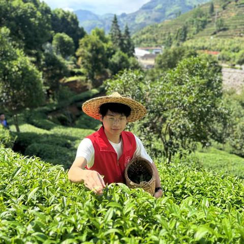 福建专升本理工二的相关长尾关键词有哪些