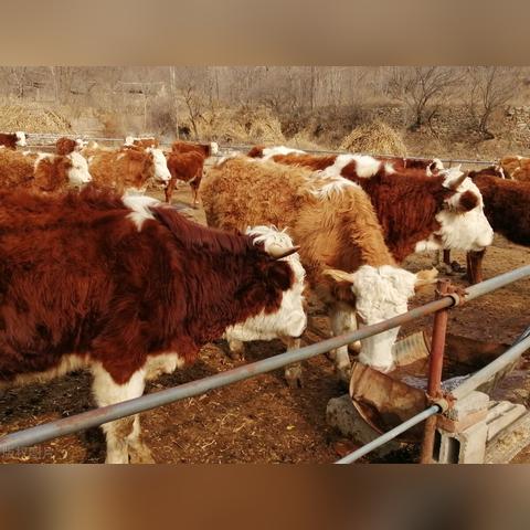 汉中市到菏泽市多少公里