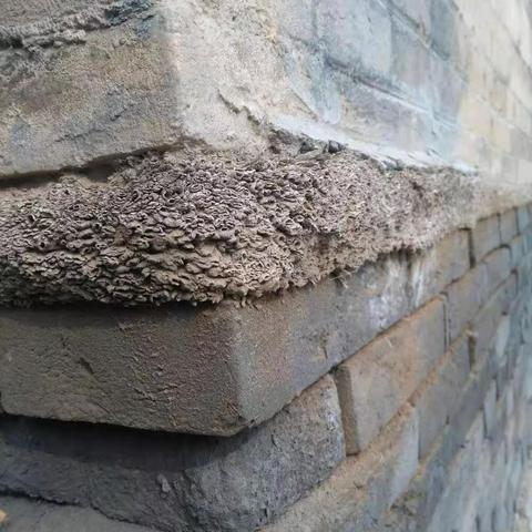 保定市高品质住房有哪些