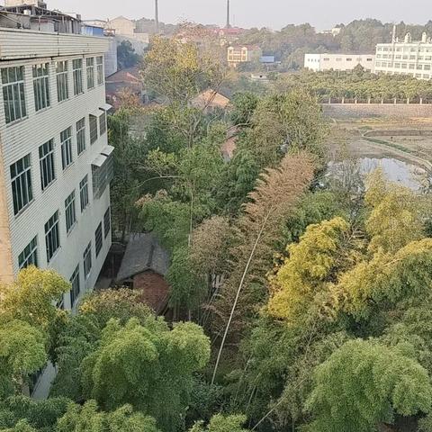 邵阳疫情最新通告今天封城 & 邵阳疫情最新通告今天