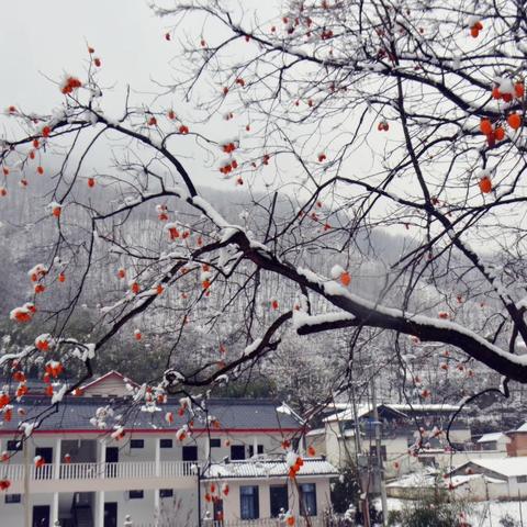 河南主要以什么气候为主