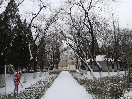正月里来雪纷纷，这可是虎年的第一场雪呢！话题#虎年初雪#