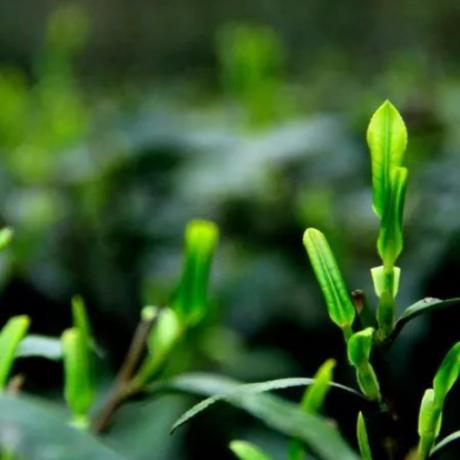 河南省资助通app的相关长尾关键词有哪些