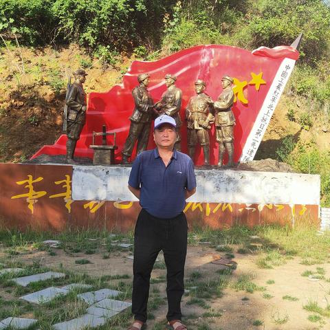 电影什么寻游记