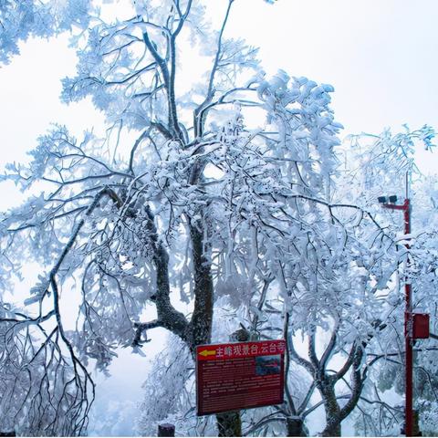 桂林市资源县包含哪些乡镇