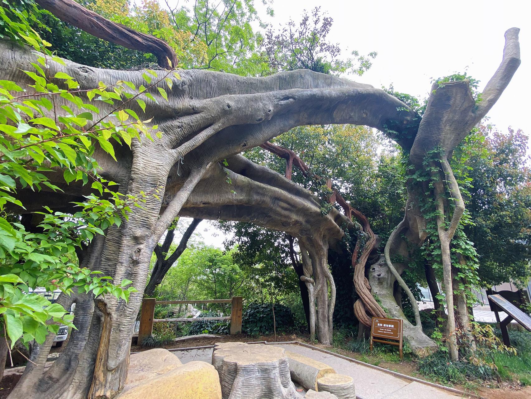 山东旅游胜地：探秘人气最旺的景点排行榜