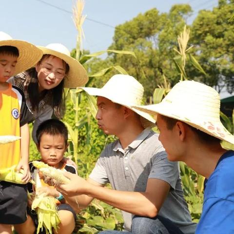 长沙雨花实验小学相关长尾关键词有哪些
