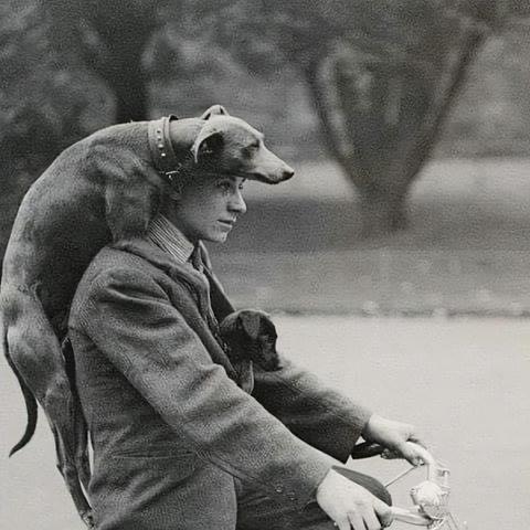 [苏州骑车组织]长尾关键词有什么