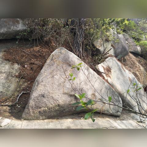 厦门市内什么山