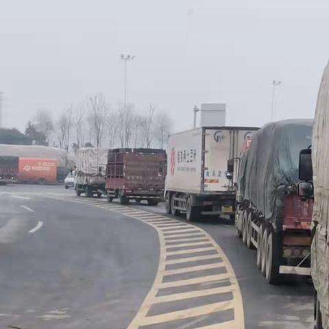 河南疫情在哪个地区