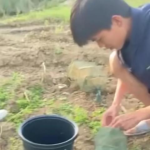 合肥小龙虾价格相关长尾关键词有哪些