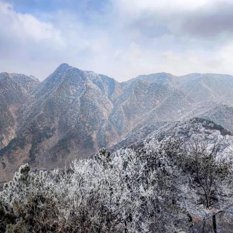 济南飞翔教育坑人相关长尾关键词有哪些