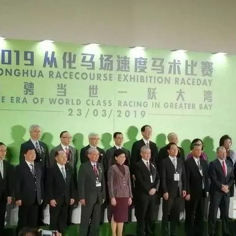 生肖马2026年运势详解(2026年属马人的命运)