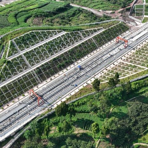 【重庆今日招工信息】2025年4月2日重庆招工信息有哪些
