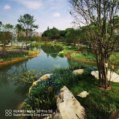 武汉市天府公园在哪个区