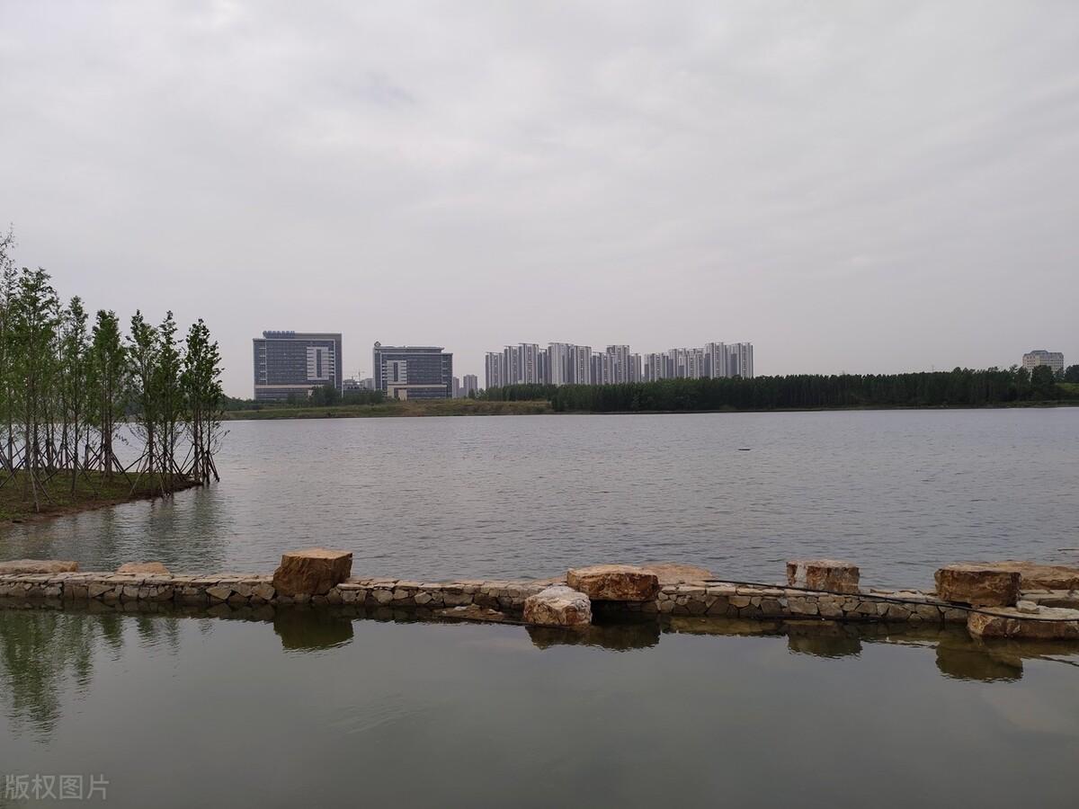 合肥本地宝宝起名怎么收费(陈妍希出生日期)