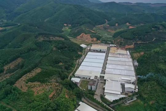 闽商|祥云生物黄勇云：勇往直前有德财源广云合景从致祥生意兴