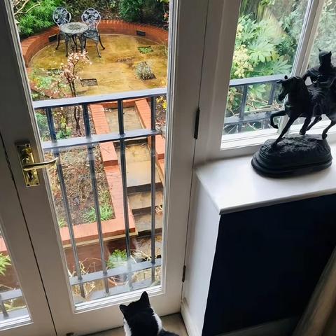 大连斯坦福院落怎么样的相关长尾关键词有哪些